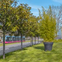 Quetigny (Côte-d'Or) : passage du tram.